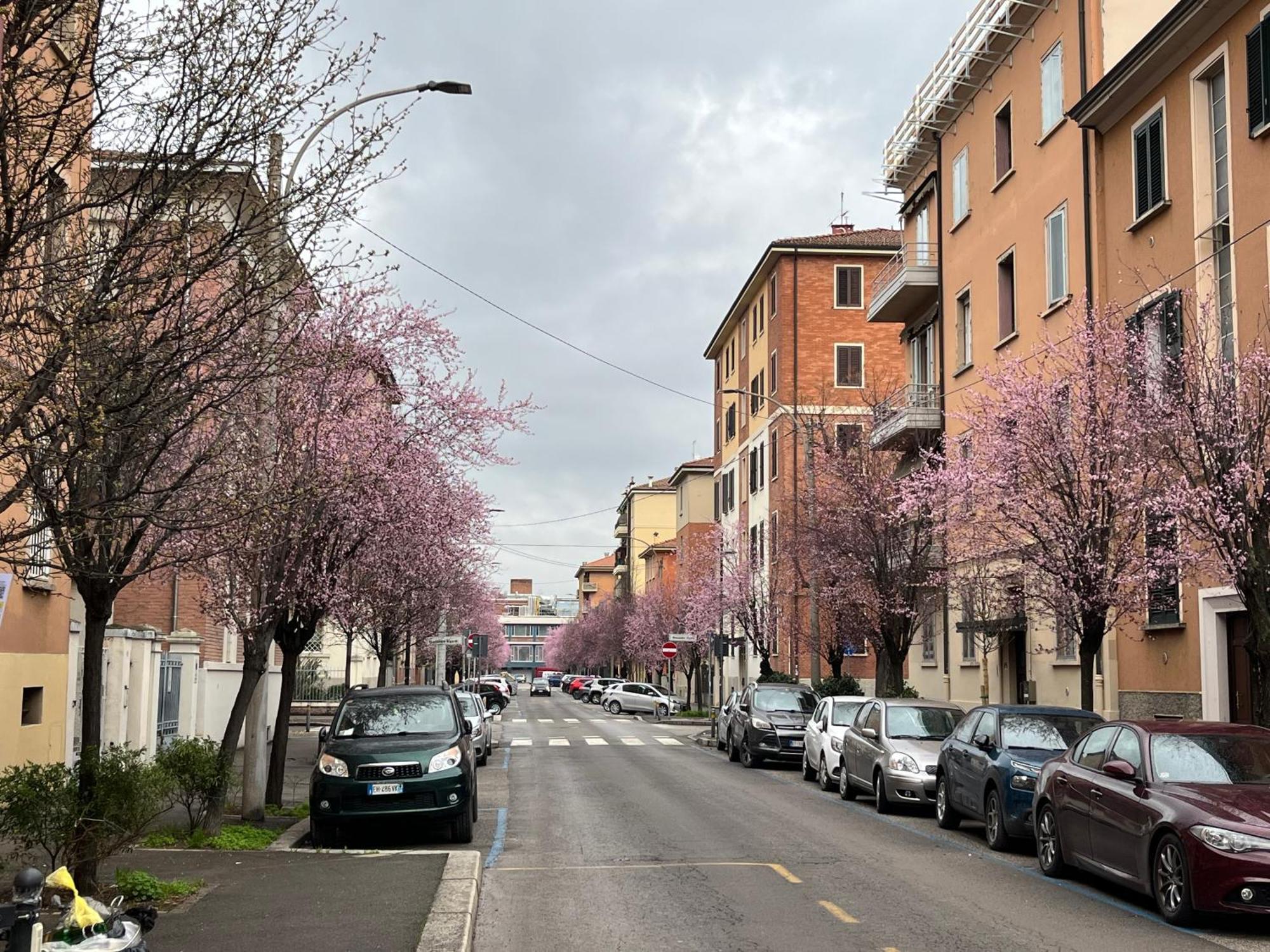 Appartamento Casa Meli, Ampio Bilocale Nuovo Bologna Esterno foto